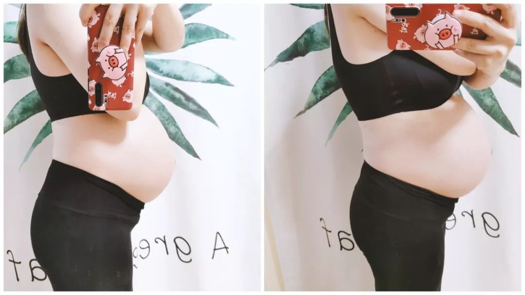 我已经无法再努力了|怀孕日记