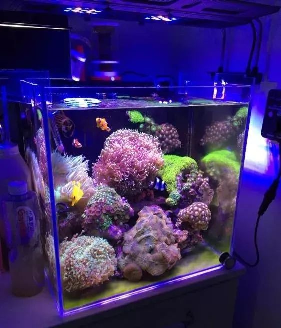 40方缸用背滤,小尺寸背滤