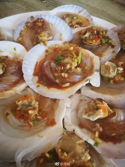 大连开海后的海鲜,开海了吃海鲜去哪个码头最便宜