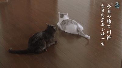 这部“变态”日剧，早该让我妈看了...