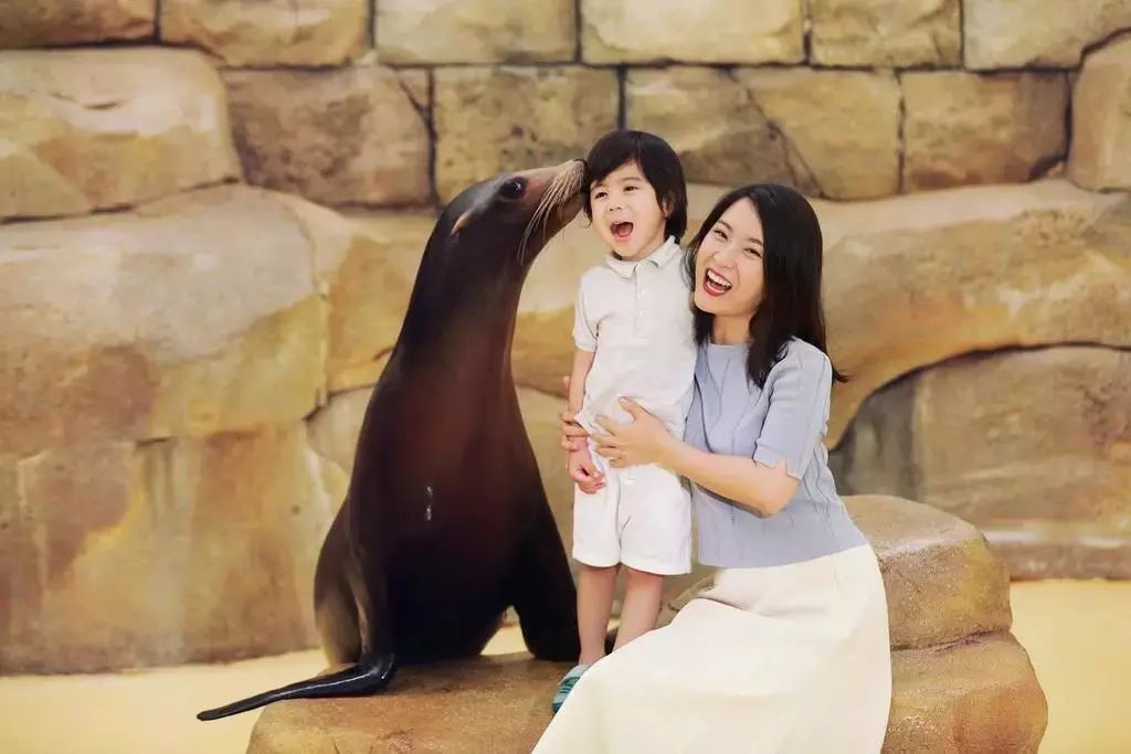 三亚3天2晚亚特兰蒂斯,三亚5天4晚亚特兰蒂斯酒店双人游