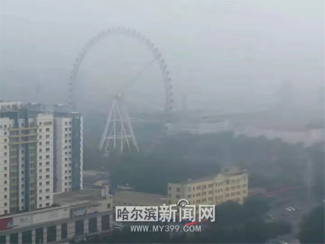 哈尔滨风景好的大公园推荐,哈尔滨松北区哪个公园好看