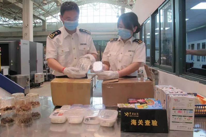 带月饼进出境注意事项,邮寄月饼出境有讲究