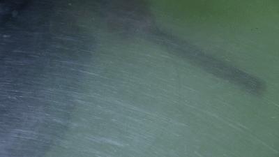 谁家的网红烧饼最正宗,最火的网红烧饼