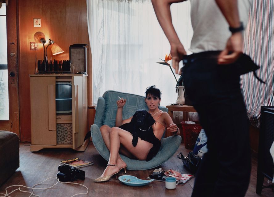 最好的摄影微单,最好的摄影作品