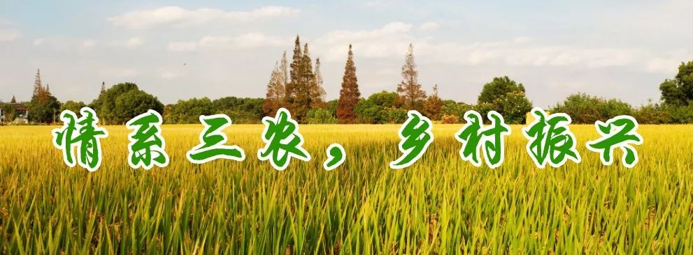 农业农村部高标准农田建设项目,农业农村部农田建设管理局电话