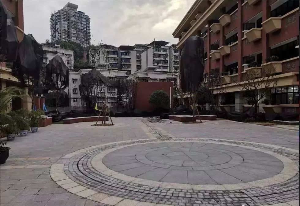 沙坪坝教育学校,沙坪坝最新建学校消息