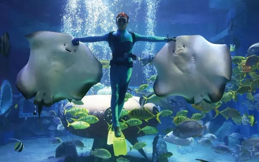 收藏金秋周末游龙江秋季旅游产品优惠大放送