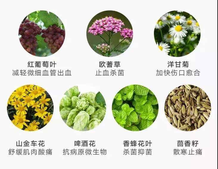 关节膏德国,关节按摩膏德国