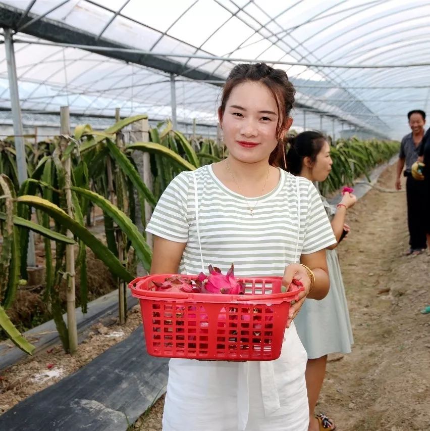 浦城最值得去的古村,浦城美丽乡村