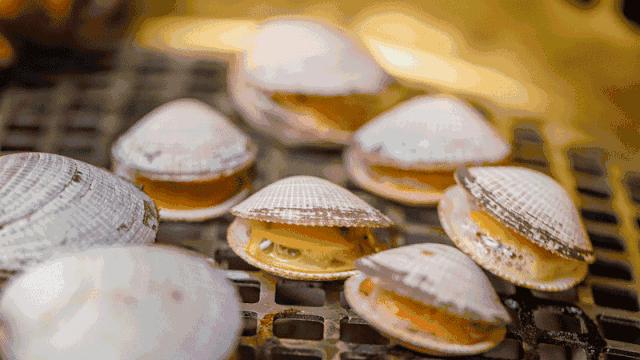 开海买海鲜攻略,开海了一般市场海鲜什么时候便宜