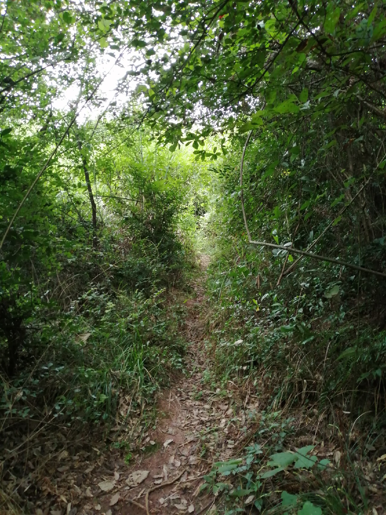 别人对你说钓鱼是什么意思,对于钓鱼各位钓友有什么看法