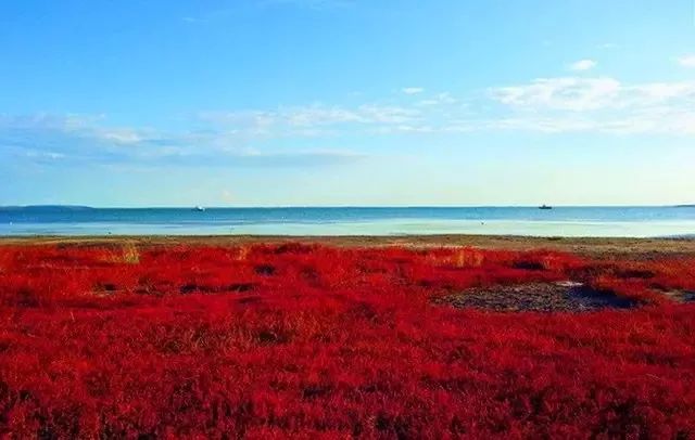 达里湖红海滩在哪里,达里湖冬捕