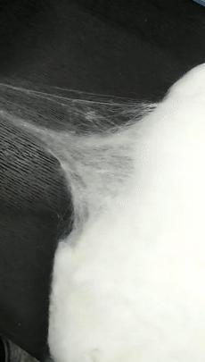 轻松两招带你揭开蚕丝被的真面目,蚕丝被最近新闻