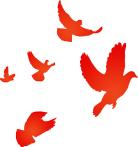 十一出行，使用抢票软件有风险，购票付款须谨慎