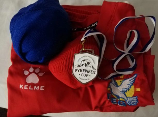 9岁进入国家队,11岁进入篮球国家队