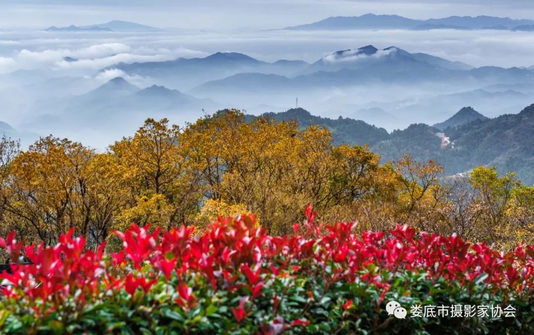 生态娄底美丽家园——【壮丽70年奋斗新时代】娄底首届风光摄影作品展览生态小品作品选登