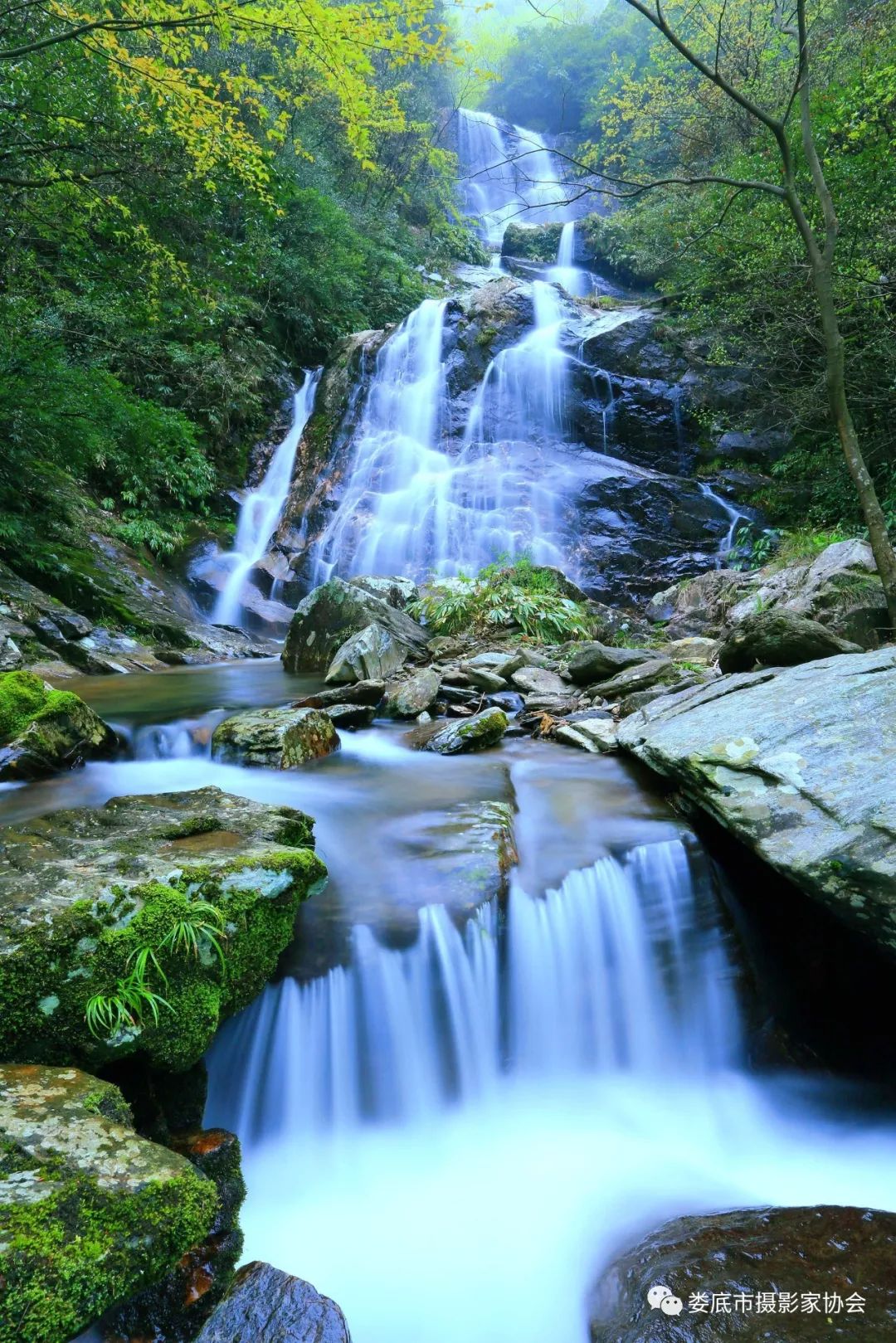 生态娄底美丽家园——【壮丽70年奋斗新时代】娄底首届风光摄影作品展览生态小品作品选登
