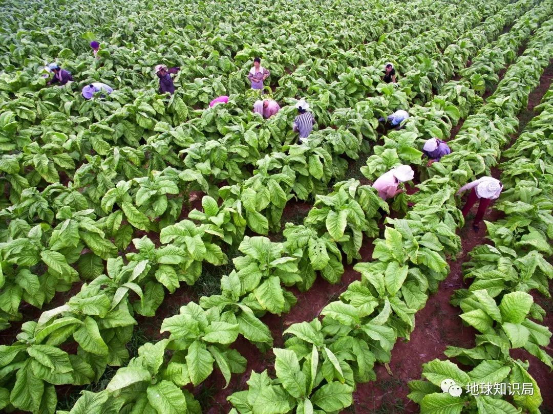 铁路未来会怎样,铁路怎么改造