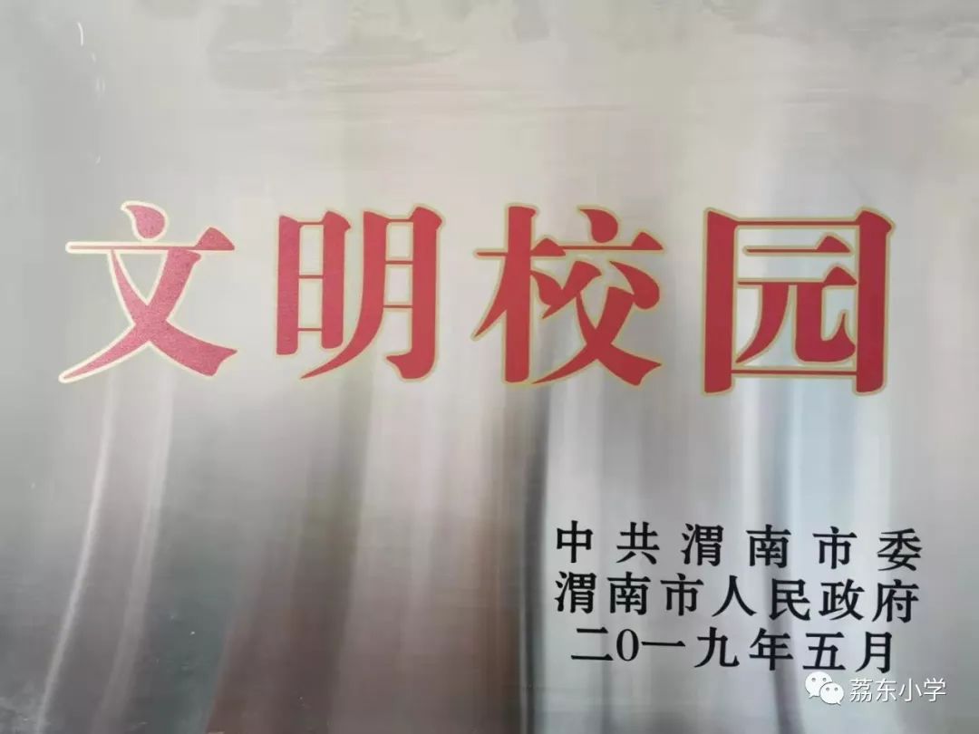 陕西省西安市大荔县荔东小学,大荔荔东小学关于党的教育