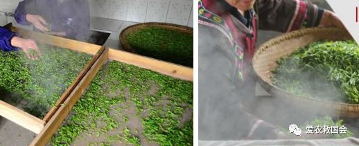 宀╄尪鍒惰尪鏁欏,鍒惰尪宸ヨ壓涓庤尪鏂囧寲