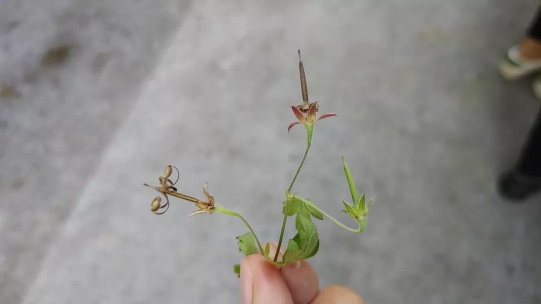 这个夏天，是你们唤醒了我心中的那粒种子