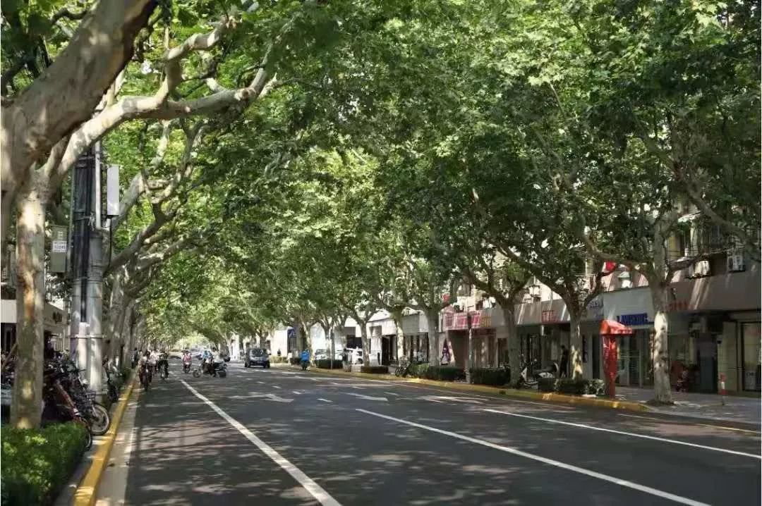 美美哒景观路,美美哒一道绚丽的风景线