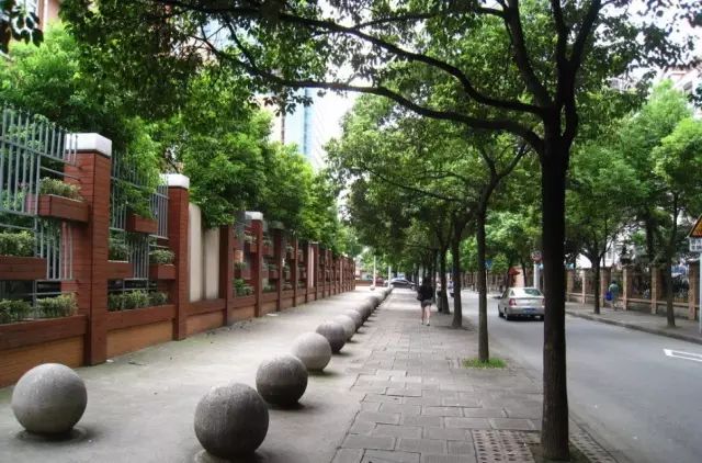 美美哒景观路,美美哒一道绚丽的风景线