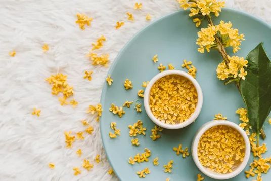 中秋佳节,聊一聊桂花的那些事儿~