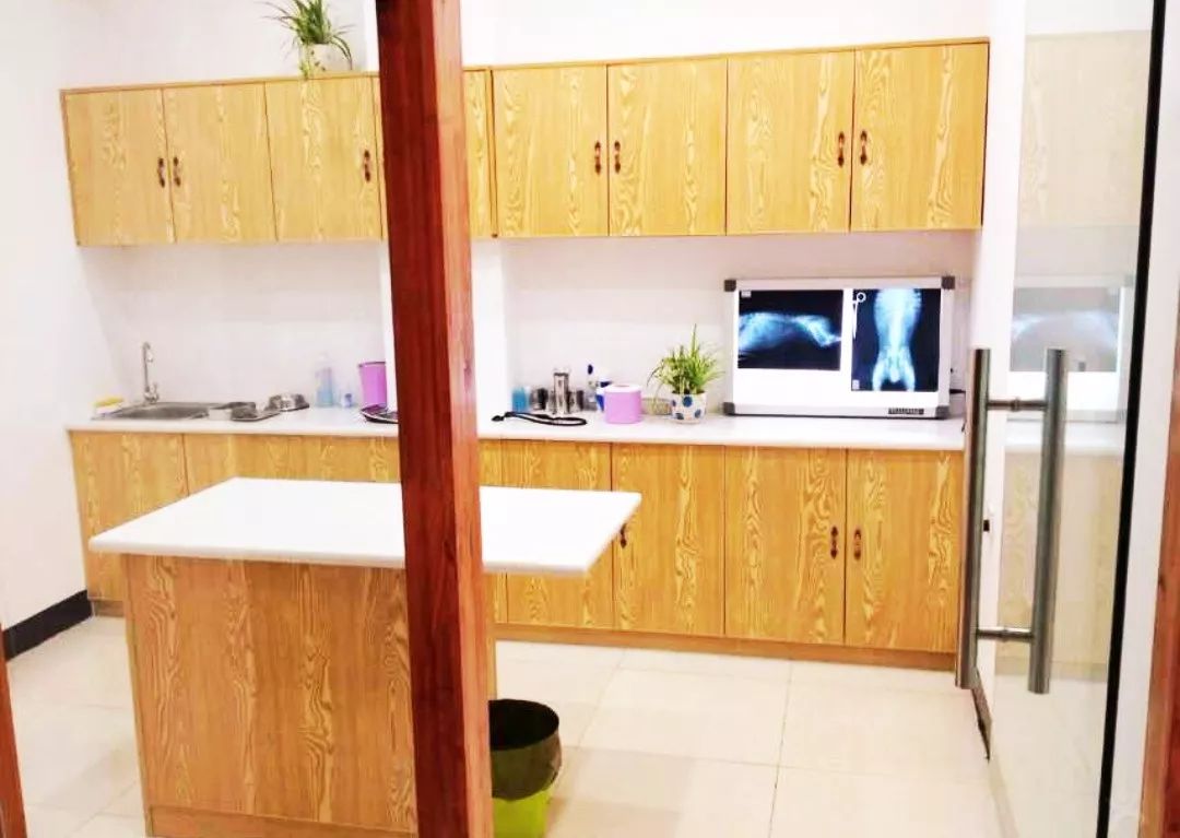 丽江宠物基地,丽江最好的宠物医院