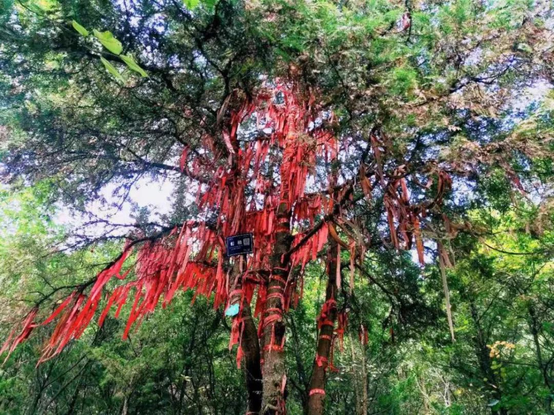 中秋夜祈福,中秋节祈求阖家团圆