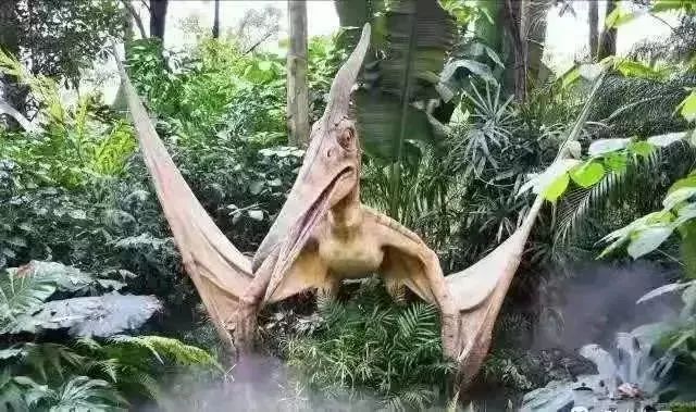 肇庆鼎湖新区体育中心中秋游园会,肇庆新区体育中心中秋游园会