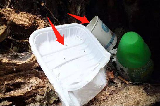 预防登革热时刻在行动,科普清理小积水防控登革热