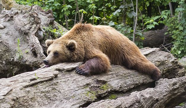 没钱却上进的男人,没钱还不上进的男生
