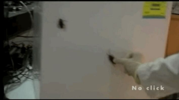 今年的搞笑诺贝尔奖,最搞笑的诺贝尔奖是什么