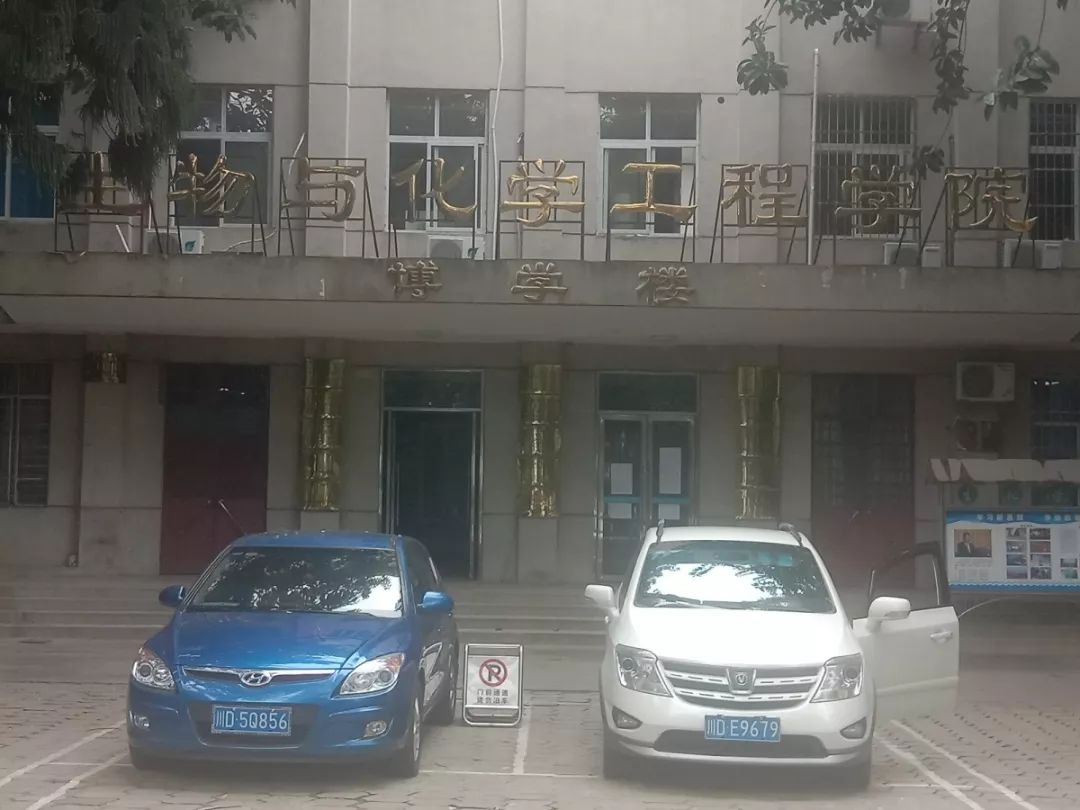 档案解密十二生肖,十二生肖天数配对解密