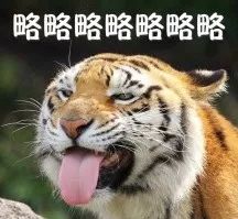 常州冷空气最新消息,江苏将迎强冷空气常州天气