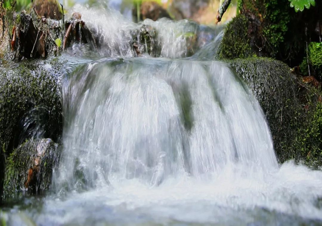 阿里河山泉水，清甜甘冽，喝上伊勒呼里的泉水心醉神迷