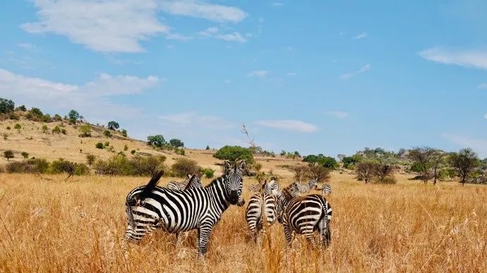 鍧︽灏间簹涓庡ぇ鑷劧,鍧︽灏间簹鑷劧椋庡厜鐪熺編
