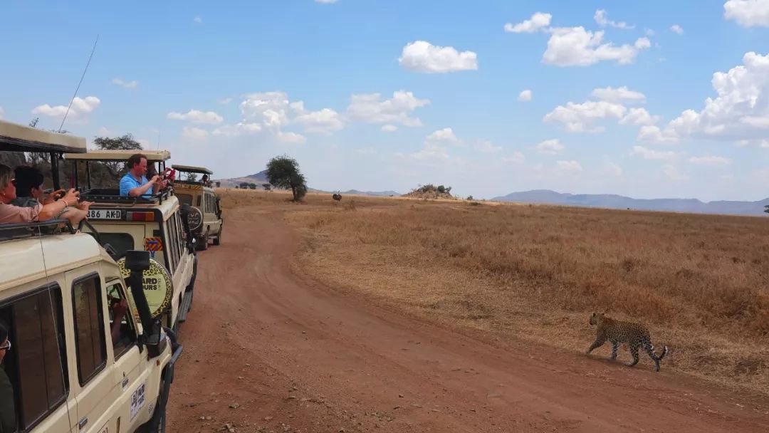鍧︽灏间簹涓庡ぇ鑷劧,鍧︽灏间簹鑷劧椋庡厜鐪熺編