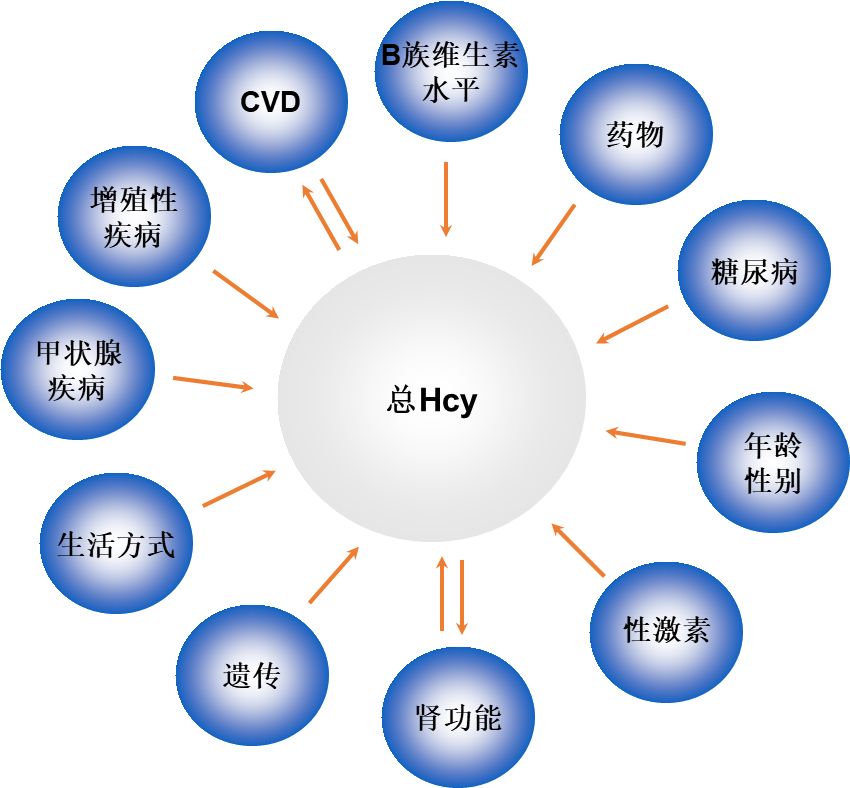 健康新指标,健康指标有哪些