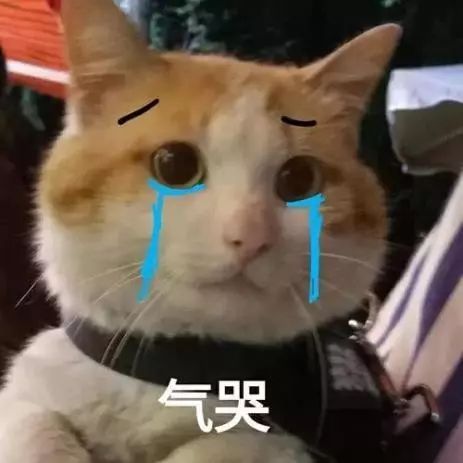 为什么日本会有很多减肥法,你永远不知道努力减肥