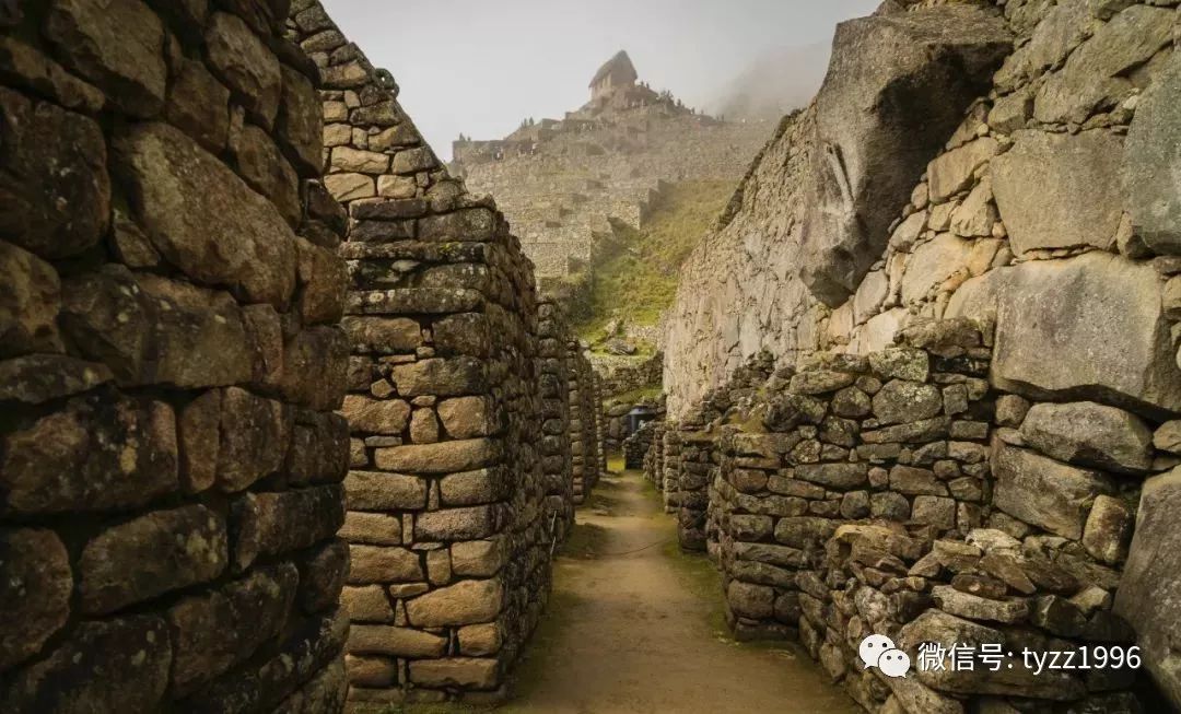 陆春祥散文特色,陆春祥书籍