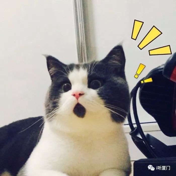 厦门海关查获走私香烟,海关查获个人携带香烟