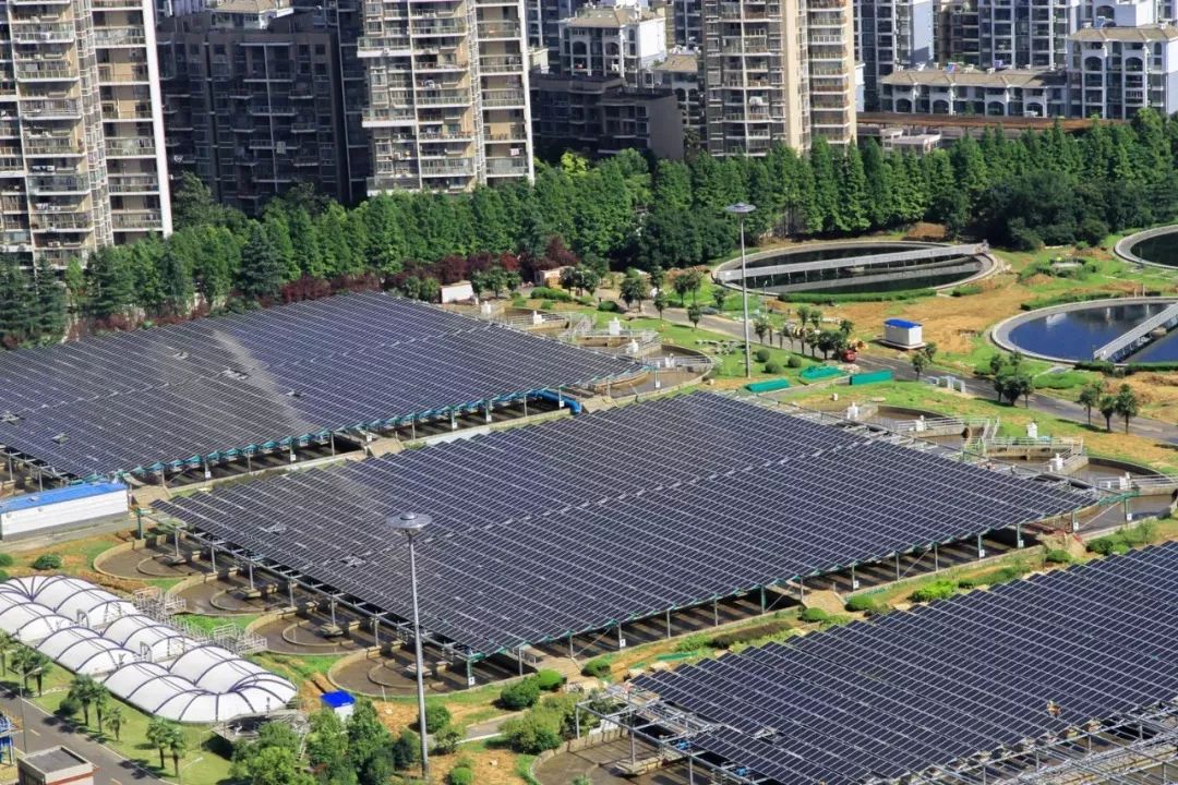 合肥名片,合肥名片照片