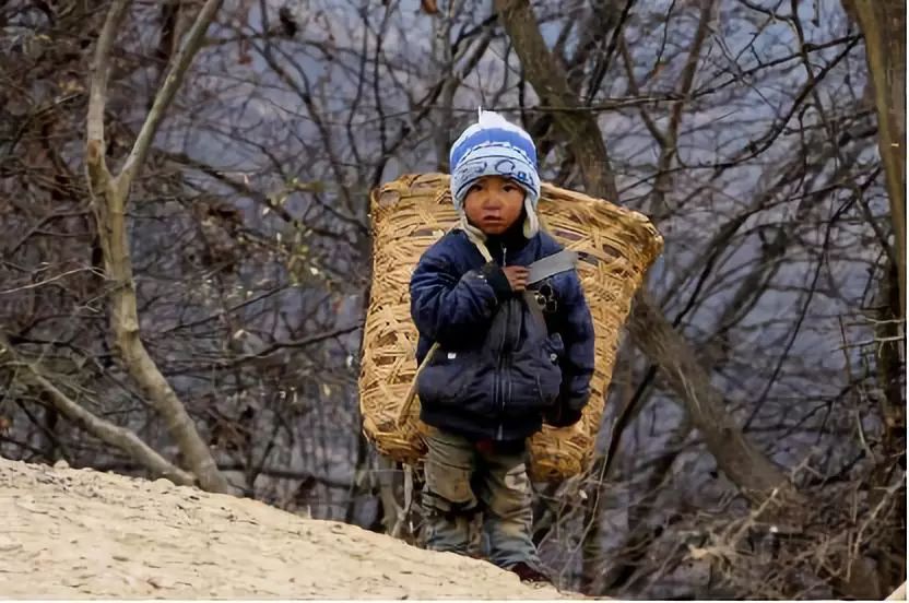 科技的温度：视障、肯尼亚、大凉山和拯救雨林