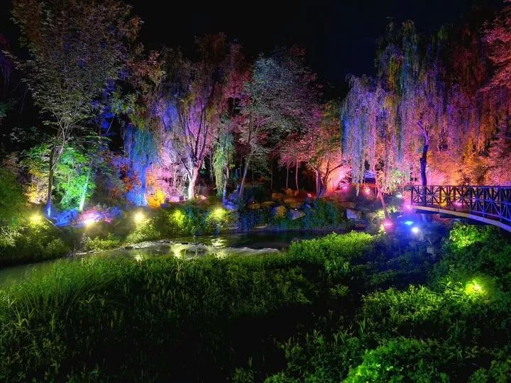 越青是什么星座,白桥是什么星座