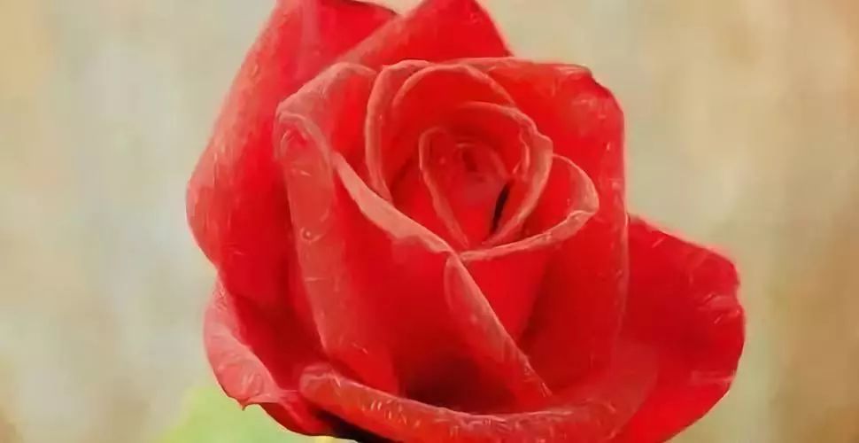 哲理小故事大启发短篇,课堂演讲的哲理小故事大启发