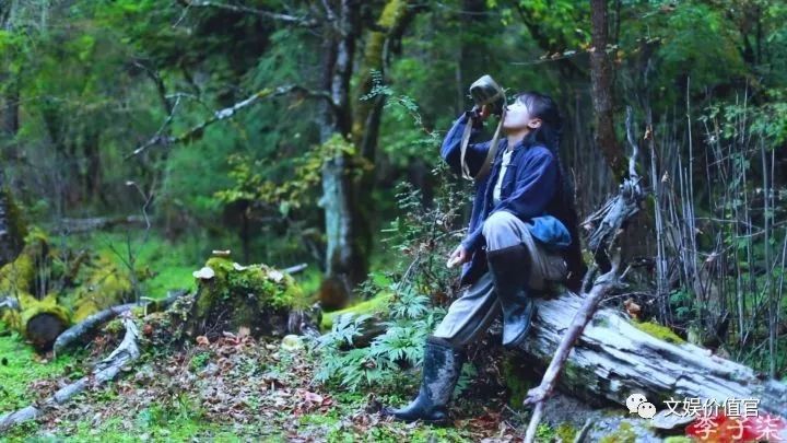 蔡徐坤李子柒,收入过亿的网红名单