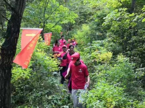 涓滃寳鎶楄仈鑻遍泟涔嬭矾,鎶楄仈璧拌繃鐨勮矾